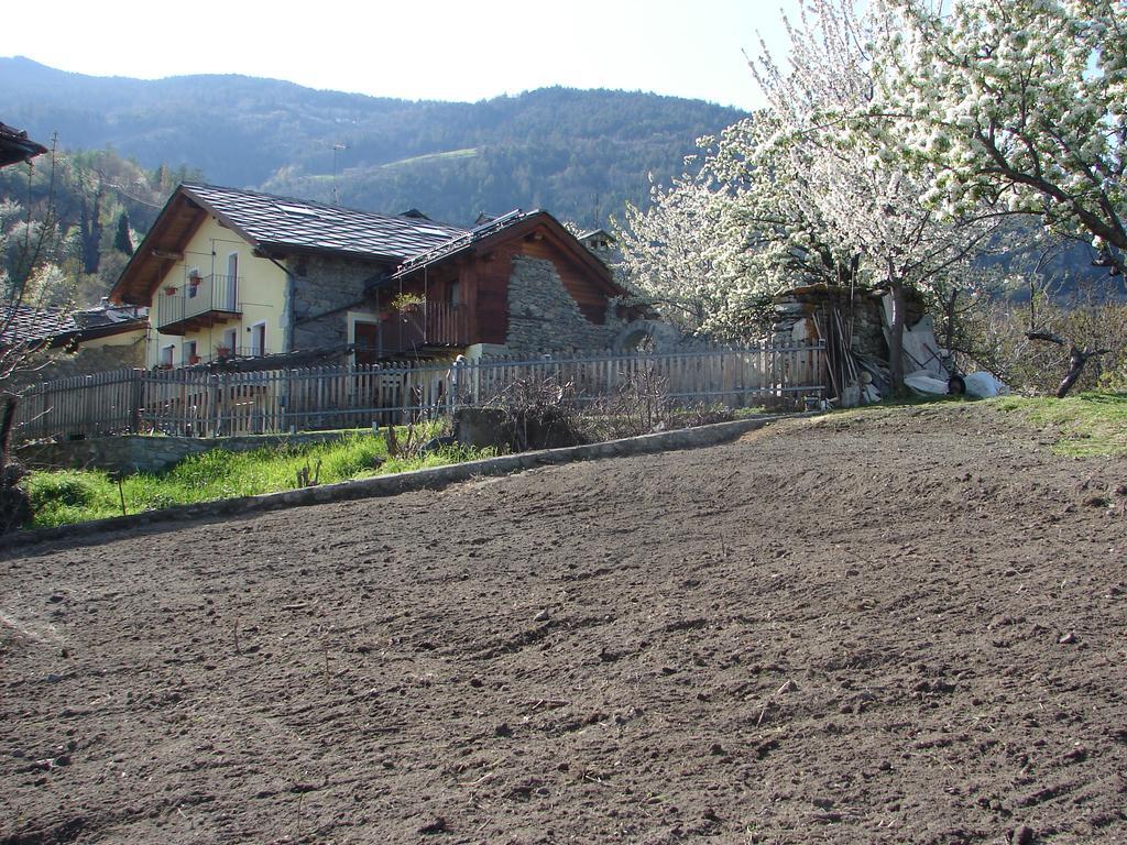 Affittacamere Grand Saint Bernard Gignod Esterno foto
